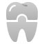 09 Dental Crown